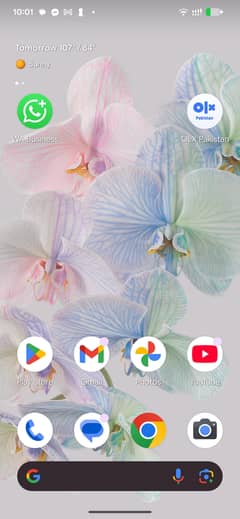 pixel 6 pro 10/10 wight color