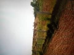 Agriculture