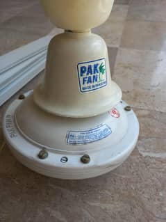 PAK