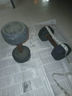 6 kg Dumbbell Pair