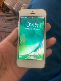 iphone 5  lush condition new