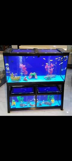 Triple breeding Aquarium