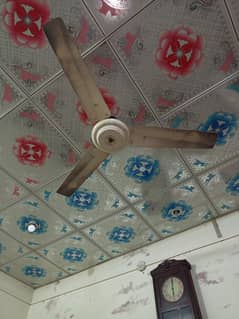 Ceiling Fan