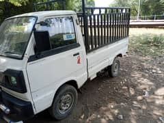 Suzuki Ravi 2017