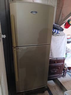 Haier Company