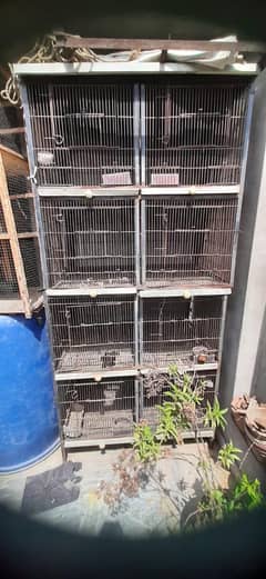 baird cage 4 postion 8 cage