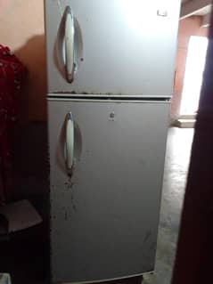 Haier