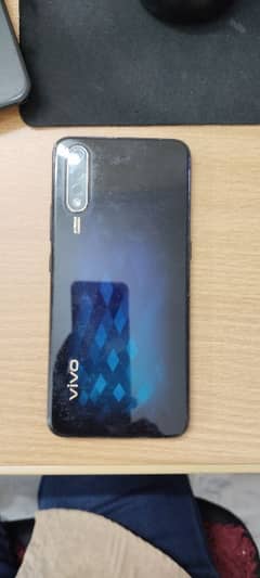 vivo