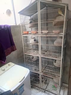 8 portion Cages urgent