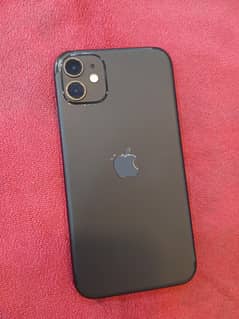 ip11 NoN Pta