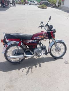 CD 70 Lush condition