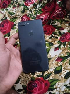 7plus PTA Approved