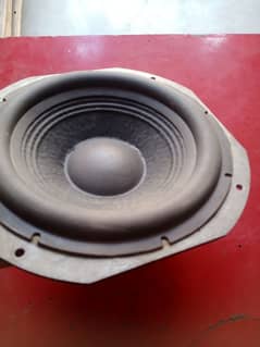 Coral Original Woofer