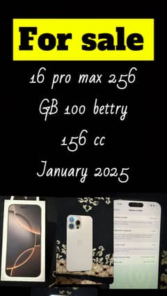 16 pro max