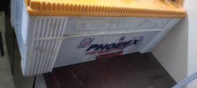 Phoenix 180A battery one year old