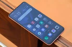 vivo