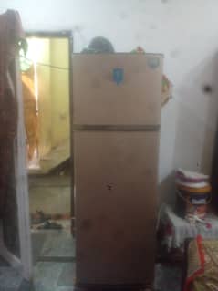 achi condition mnhn wts up 03485363511