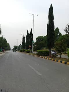 beautifully located 40 nerla plot for sale at a very reasonable price
