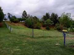 2 Kanal Plot For Sale In Anchorage
