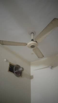 royal copper fan and millat copper fan