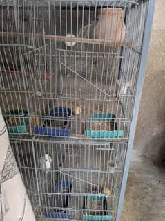 Cage