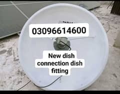 dish