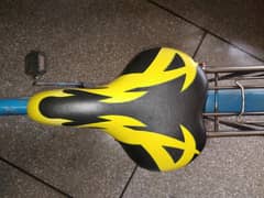 Useful Bicycle For Sale