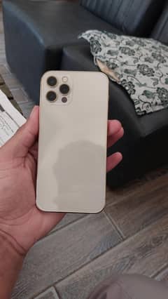 i phone 12 pro golden