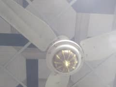 12 volt fan