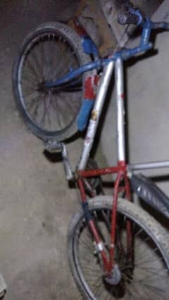 Big Size Cycle