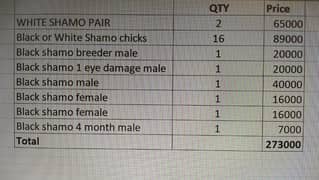shamo setup