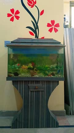 FISH AQUARIUM