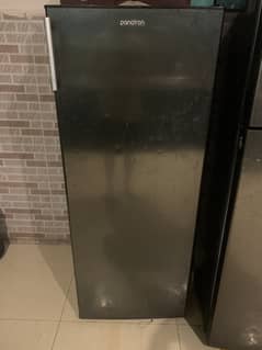 Panatron standing freezer