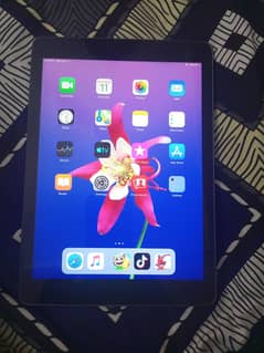 apple i pad air 1
