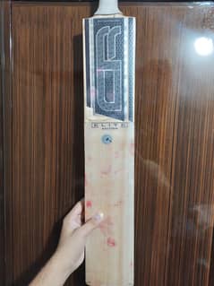 Cricket