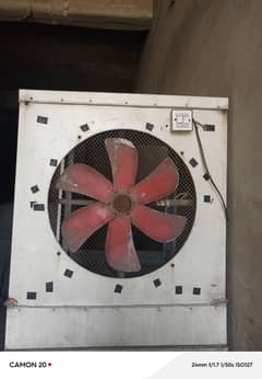 Cooler Fan