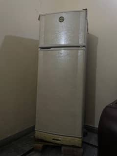 PEL FRIDGE | MEDIUM SIZE | USED