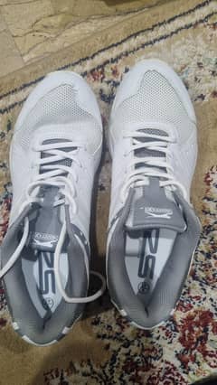Slazenger
