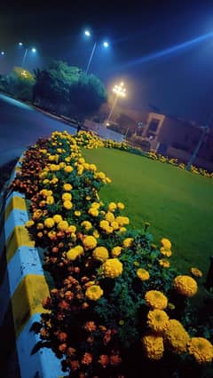 10 MARLA RESIDENTIAL PLOT FOR SALE AT VERY ECONOMICAL PRICE IN DREAM GARDENS LAHORE.