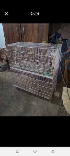 Birds Cage