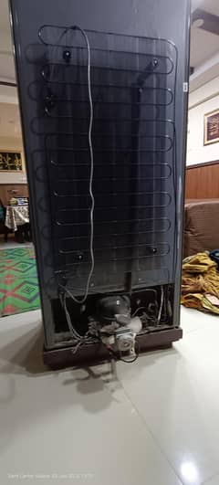 Daily usage refrigerator, no faults in the refrigerator.