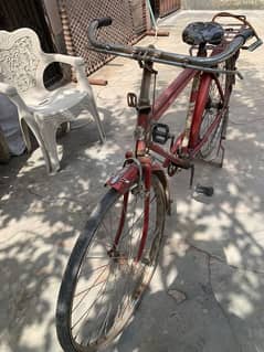 20-inches cycle
