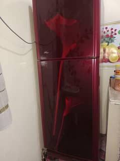 orient fridge (0316/25055/36)