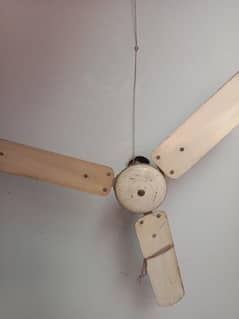 celling