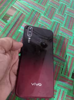 vivo