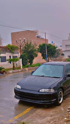 Honda Civic Dolphin