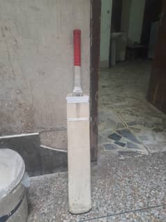 A cricket bat