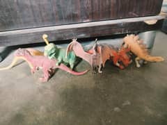 animals