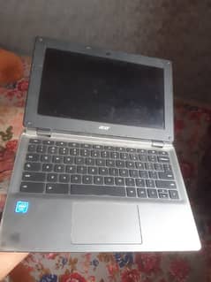 Acer