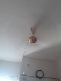 Ac/dc fan